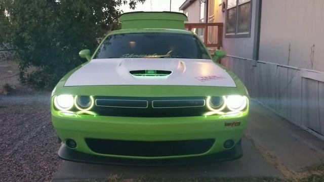 Oracle surface mount halos смотреть онлайн