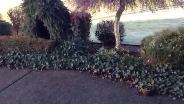 Davies part 9 смотреть онлайн