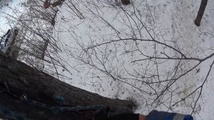 Тренировка - подъём по стволу дерева на снаряжении для альпинизма