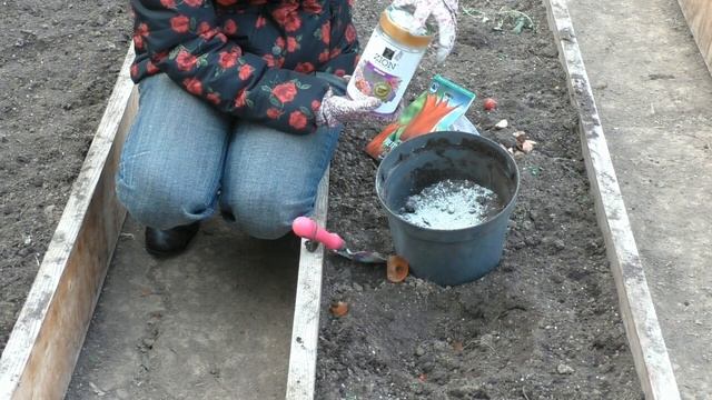 Посадка луковичных цветов в горшки смотреть онлайн