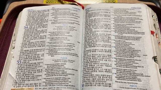 BLC 3 - The Bible, Psalms 53~54 смотреть онлайн