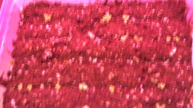 ПЕРВЫЕ ВСХОДЫ СЕЗОНА 2018-2019