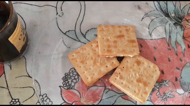 Diário da Dieta #5 Mantendo a Dieta no Sítio dos Meus Pais + Desafio dos 10 dias pra Emagrecer смотреть онлайн