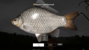 Карась, ротан, окунь. Фарм для новичков. Закрываем трофеев и фармим серебро. Русская рыбалка 4. РР4
