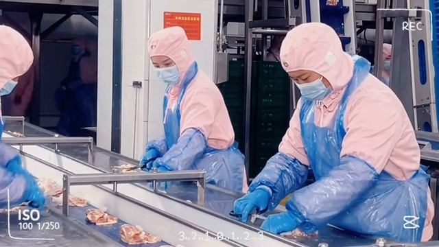 How 10000+ BPH chicken slaughter line works смотреть онлайн