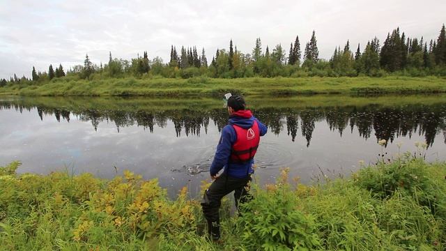 ✅БОЛЬШАЯ РЫБА НА ТАЁЖНОЙ РЕКЕ| СПЛАВ СЕВЕРНЫЙ ТИМАН| ЛОВЛЯ окуня #3 смотреть онлайн