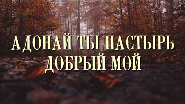 ОЧЕНЬ КРАСИВОЕ ИСПОЛНЕНИЕ "Адонай Ты добрый пастырь мой" смотреть онлайн