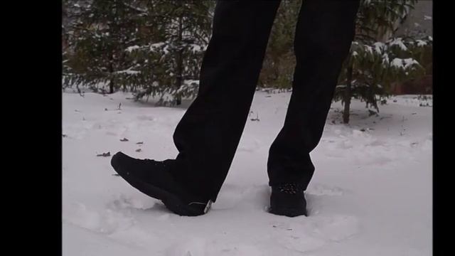 Зимние ботинки