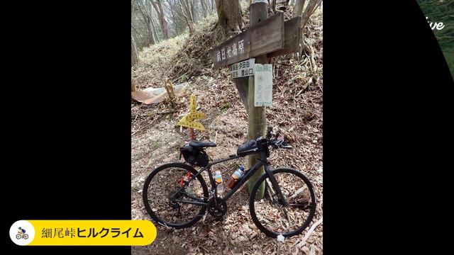 奥日光&前日光ポタ 4月23日 【RELIVE】 смотреть онлайн