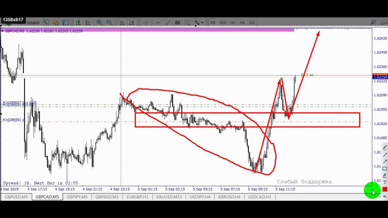 Трейдинг обучение Форекс Gold Trader