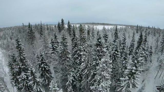 Зимний лес Карелии. Видео с квадрокоптера. смотреть онлайн