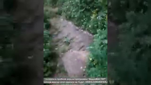 Дорога на водопад "Бутаковка" Алматы часть 3 смотреть онлайн