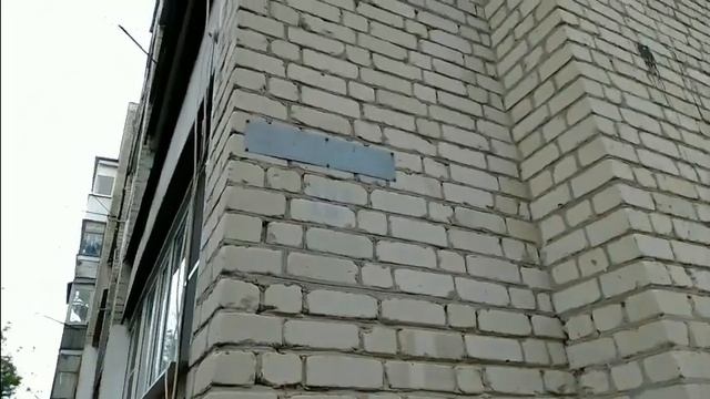 Вырубленная сирень по Шоссейной смотреть онлайн