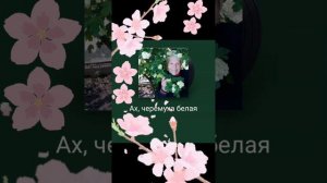 ах  черемуха белая...КАРАОКЕ ДОМА...