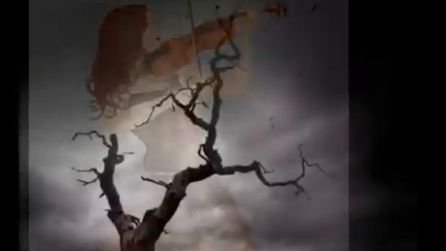 Alone wolf (Original) - Sad Romance смотреть онлайн