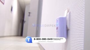 Ультразвуковой отпугиватель насекомых и грызунов «Защитник»