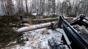 МТЗ 82 с куном, Как начинать рубку  делянки?