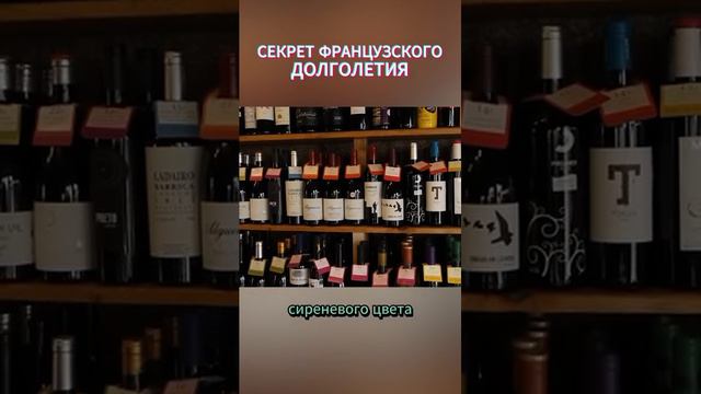 Почему французы живут дольше итальянцев - Алексей Ситников смотреть онлайн