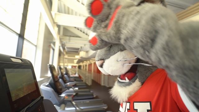 TOUR Video : Kneller Athletic Center | Clark University GYM | #USAVLOGS #VJSNAPP #CLARKUNIVERSITY смотреть онлайн