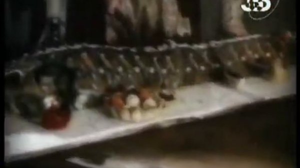 Юрий Долгорукий