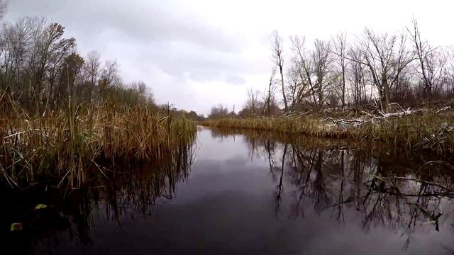 Липовской ерик. Чапаевские луга. Самарская область. смотреть онлайн