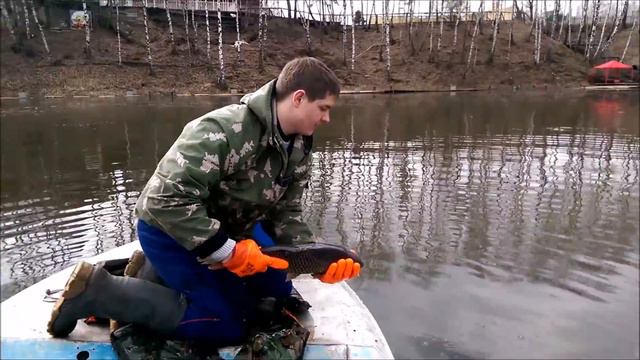 Зарыбление крупного Карпа!!! 16.04.17 смотреть онлайн