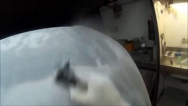 Серебряная машина. Крышка - урок послушания. смотреть онлайн