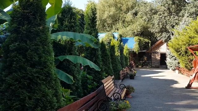 Отдых в Адыгее смотреть онлайн