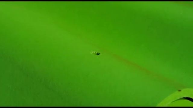 Дом шутя - "Установка шифера" смотреть онлайн