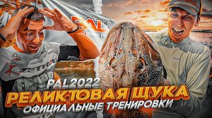 РЕЛИКТОВАЯ ЩУКА... Начало PAL 2022. Этот турнир будет ТРОФЕЙНЫМ. СЛОМАЛСЯ ГИДРОЛИФТ!.mov