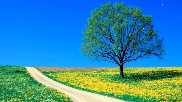 Relaxing Music Vincent Hunter Parsons Claire Vaughan Sarai Zamora Rayna смотреть онлайн