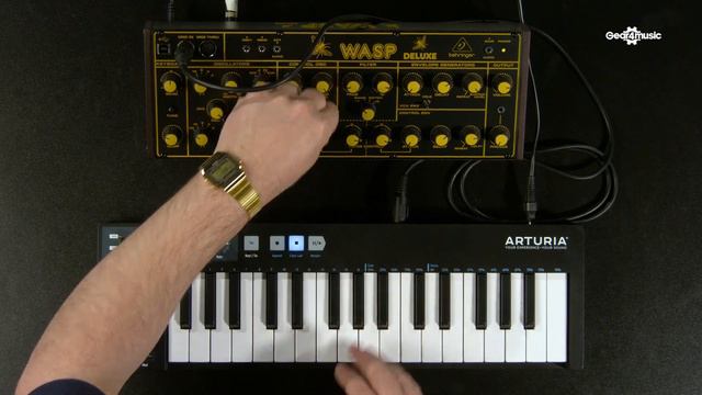 Behringer WASP Deluxe Analog Synthesizer | Gear4music demo смотреть онлайн