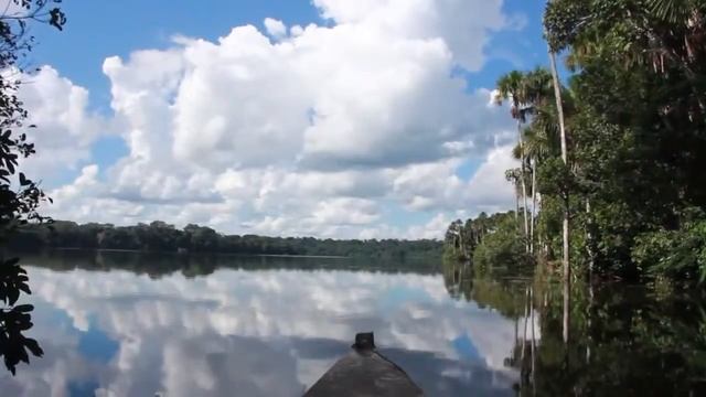 Visite Madre de Dios, Historia, Tradiciones y Aventura смотреть онлайн