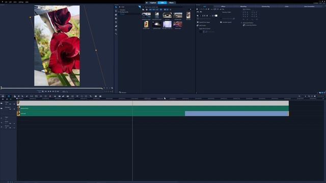 Новые возможности видеоредактора Corel VideoStudio 2021 смотреть онлайн