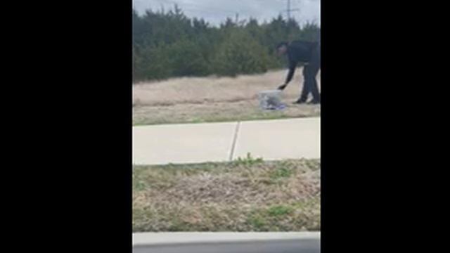 DANG GONE POSSUM смотреть онлайн