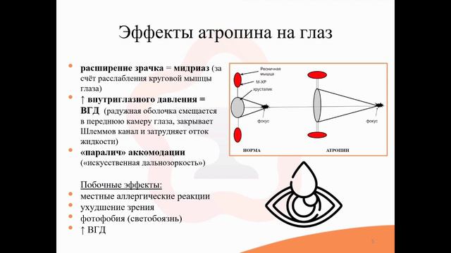 4.6. Неселективные М-холинолитики (М-холиноблокаторы) смотреть онлайн