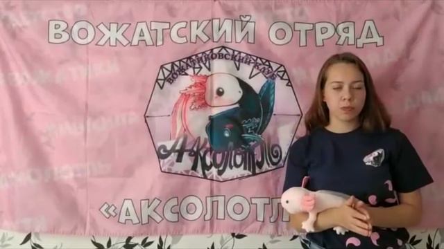 Квест "Похищение вожатого" (Средний школьный возраст), ВО "Аксолотль" смотреть онлайн