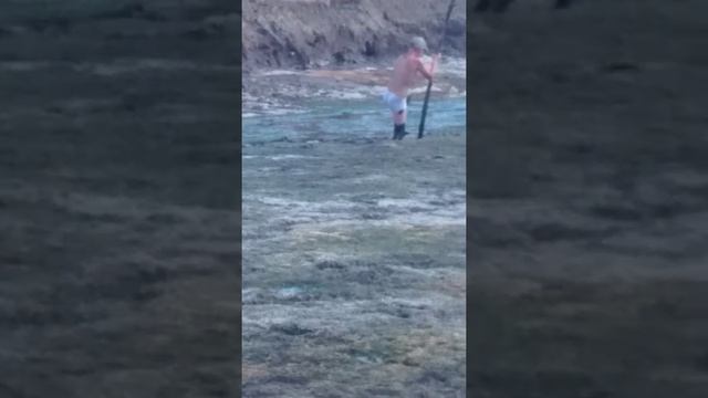 Леший в оверятском болоте смотреть онлайн