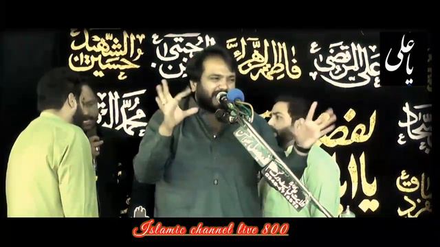 Zakir Syed Najamul Hasan Shirazi смотреть онлайн