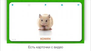 Развивающие карточки для детей