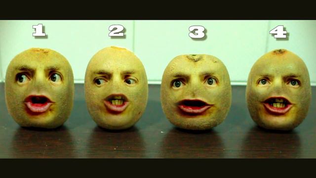 Kiwi Face Orchestra Beatbox Song