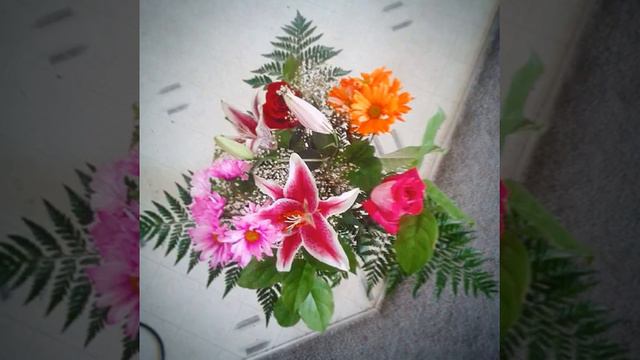 #флокс #флоксы #flower #flowers #phlox #цветы #цветок