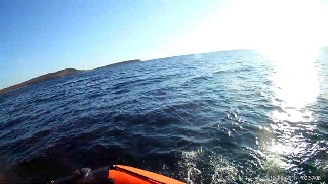 троллинг терпуга 13 10 19 смотреть онлайн