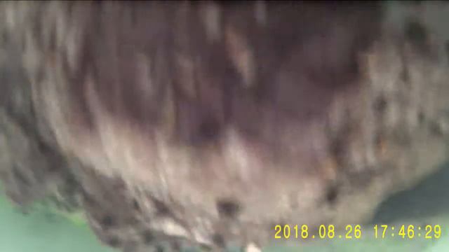 DF800 1080P underwater video fishing camera смотреть онлайн