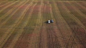 #18 Уборка льна. Выбираем способы комбайнирования льна. Прямое или раздельное комбайнирование льна?