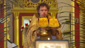 2016 04 24 Воскресная Божественная Литургия.  Вербное Воскресение