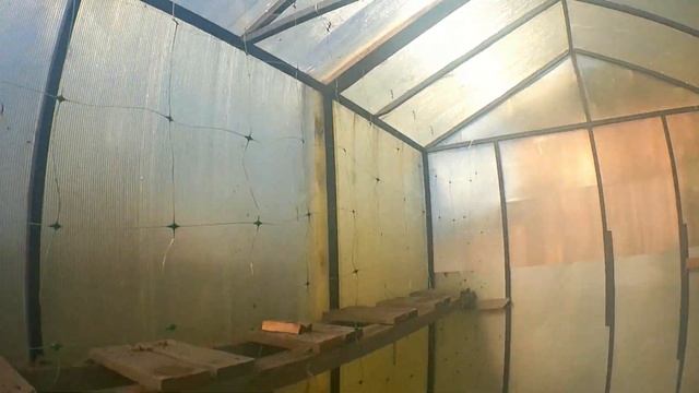 Рассаживаю кабачки. смотреть онлайн