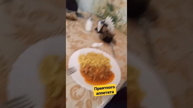 Макароны с гуляшом! смотреть онлайн
