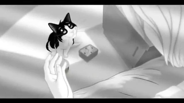 Nuevo PURINA® FELIX®