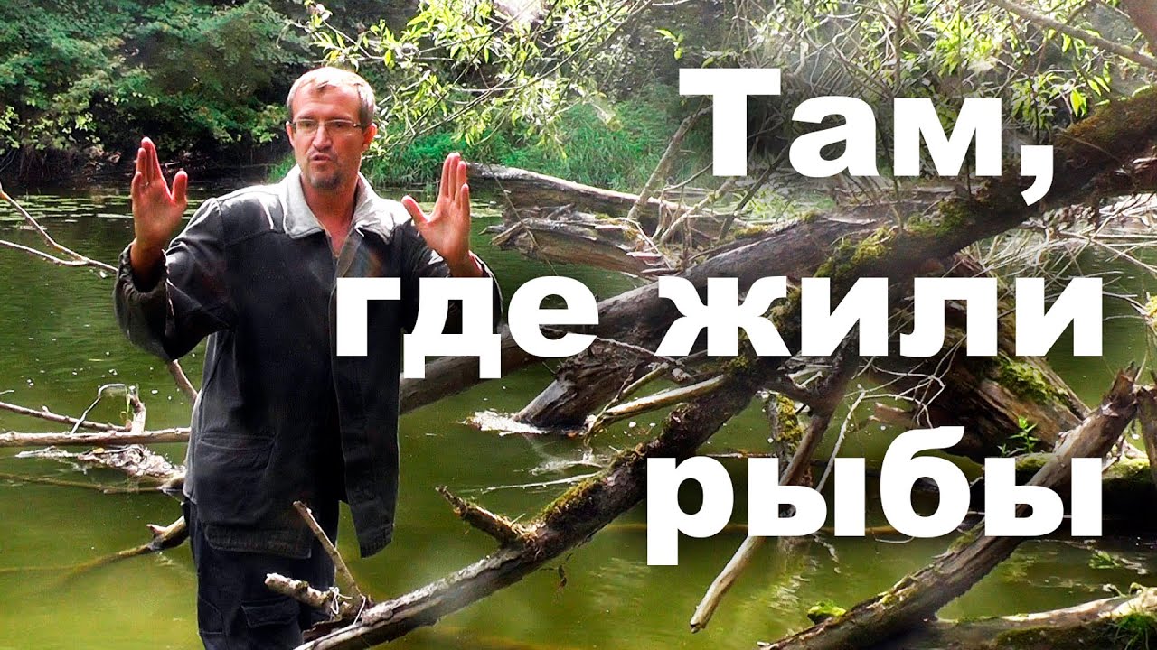 Там, где жили рыбы... смотреть онлайн
